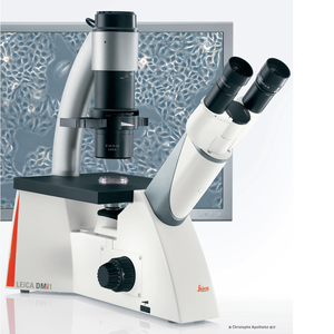 Le DMi1 inversé soutient vos travaux quotidiens dans les laboratoires de culture cellulaire - Product Image 2