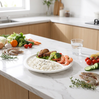 Assiette jetable Oasis en canne à sucre, biodégradable, compostable en 90 jours, non toxique, hygiénique, 10 pouces, 3 compartiments, pour restauration rapide, compatible micro-ondes