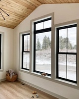 Ventanas Crittall de estilo francés Hoteles de diseño de acero de vidrio grande Insonorizadas Ventana fija de imagen moderna de bajo costo