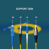 Cordon de brassage à fibre optique monomode double cœur OEM avec interface SC/LC/ST/FC