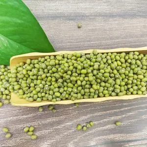 Haricots mungo verts de haute qualité pour les germes, prix des graines