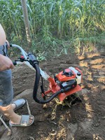 Mesin Pengolah Tanah Mini Berbahan Bakar Bensin Multifungsi Hemat Energi Pertanian