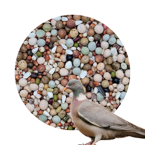 Nourriture pour oiseaux, prix <span class=keywords><strong>de</strong></span> gros, aliments pour pigeons secs et mixtes - Product Image 1