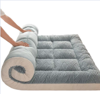 Housse de matelas INFILECO personnalisable, écologique, en fibre de polyester chimique, épaissie, douce, toutes saisons, pour la maison, la chambre à coucher, le dortoir étudiant