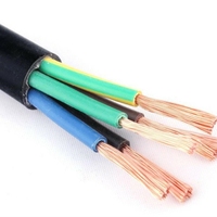 Cable de Alimentación Flexible de Bajo Voltaje RVV/BVVR con Conductor de Cobre, Aislamiento XLPE y Cubierta de PVC, Clasificación IP67, Tamaños 1/2/3/4/3+1/5/3+2/4+1, Certificación CE