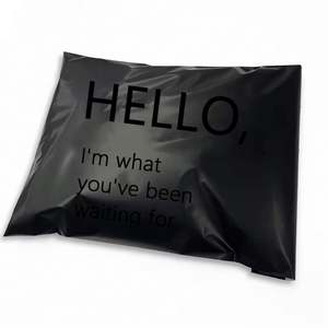 Bolsa de Envío Personalizada con Logotipo Negro, Biodegradable, con Adhesivo Fuerte para Ropa - Product Image 1