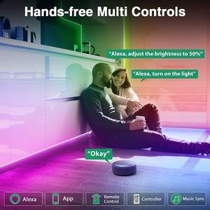 Banqcn personalizzato personalizzato 24V RGB flessibile 16.4 Ft/5m IP67 impermeabile in Silicone Neon striscia Led luci corda per parete - Product Image 3