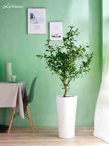 Bianco triangolo <span class=keywords><strong>vaso</strong></span> di fiori, <span class=keywords><strong>vaso</strong></span> di fiori di plastica <span class=keywords><strong>piante</strong></span> d'<span class=keywords><strong>appartamento</strong></span> moderna vasi - Product Image 4