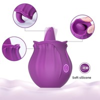 Großhandel Rosen-Vibrator Hersteller Günstiger Preis Rosen-Spielzeug Nippel-Klitoris-Sauger Rosen-Vibrator Sexspielzeug für Frauen