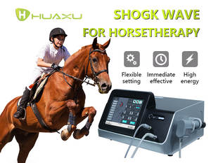 Appareil de Thérapie <span class=keywords><strong>Laser</strong></span> Vétérinaire T240 à Froid pour Soulager la Douleur chez les Chiens et Chevaux - Product Image 1