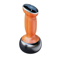 Vente directe usine – Appareil de moxibustion chauffant rechargeable en pierre Bian, outil de massage chaud portable pour usage domestique, Gua Sha