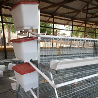 WIN 20000 Cages à batterie pour poules pondeuses 4 niveaux, Équipement d'élevage avicole, Conception directe usine