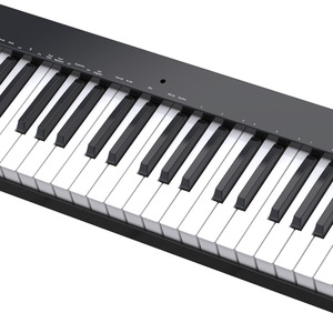 Doble cuerno 61-Key Smart Portable Digital Electric Organ Adulto Principiante Teclado Venta al por mayor Piano electrónico de China - Product Image 3