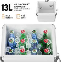 Glacière métallique 7L/13L/17L/28L très vendue – Boîte isotherme pour l'extérieur