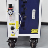 Pulse 200w 300w 500w 1000w décapage Laser nettoyage antirouille Machine pour métal bois vernis peinture nettoyant Plus