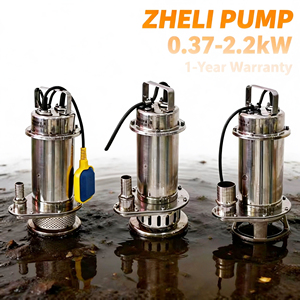 Pompa Sommergibile a Risparmio Energetico in Acciaio Inox 1HP, Pompa Elettrica <span class=keywords><strong>per</strong></span> Sollevamento Acqua <span class=keywords><strong>per</strong></span> Pozzi Poco Profondi, Cisterne Domestiche e Trasferimento Acqua - Product Image 1