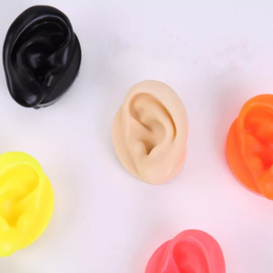 Modèles d'oreilles très demandés pour la présentation d'écouteurs avec clous, destinés à la pratique des piercings médicaux - Product Image 5