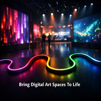 Bande LED néon RGB noire créative 24V en silicone flexible pour l'éclairage immersif des expositions numériques