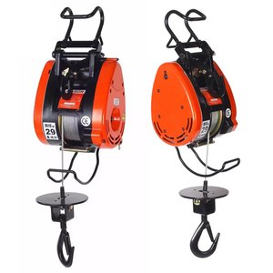 100 KG /300 KG /500 KG Derek Listrik Terkecil Taiwan - Product Image 1