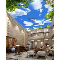 Diseños de Techos Tensados Blue Sky para Decoración de Techos Interiores de Casas