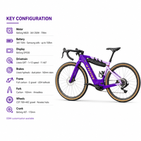 Vélo de gravier électrique entièrement en carbone avec moteur central 250W 75Nm, batterie 36V 15Ah, frein à disque hydraulique 12 vitesses, pneus 700x40C, ODM