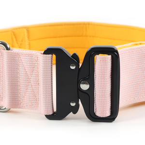 <span class=keywords><strong>Collar</strong></span> de perro de combate ancho táctico ajustable resistente al aire libre con hebilla de Metal para perros medianos y grandes - Product Image 3