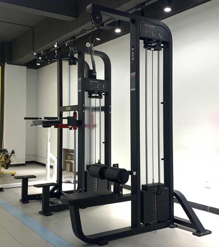 SHUA ラットプルダウン・ローイングマシン Amazon | Dickly