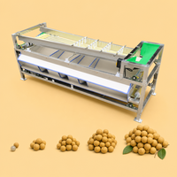 Machine de tri automatique de fruits et légumes, machine de tri d'oignons, mangoustans, myrtilles, dattes, avocats, machine de tri de tomates