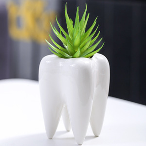 BESTCERA vendita calda a forma di dente fioriera vaso in ceramica Cactus fioriera vaso in stile moderno portapenne per piante - Product Image 4