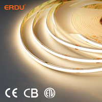 Bande LED COB Tuya 24V DC 5M en PVC flexible certifiée ROHS, blanc pur, rétroéclairage intelligent pour téléviseur avec variateur d'intensité