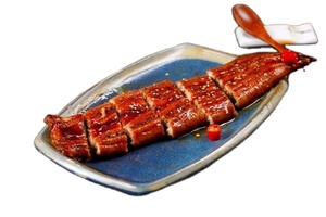 Ikan Belut Beku Grosir Kabayaki Unagi Panggang untuk Sushi atau Masakan Jepang