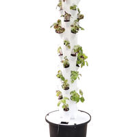 2023 Searea Vertical Farming 45 Plants Sites Système hydroponique vertical Tour avec pompe et réservoir d'eau mobile