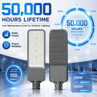 Lampu Jalan LED Outdoor Batwing Optics 250W IP66 untuk Penerangan Jalan Raya dan Jalan Kota
