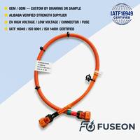 Kabel Sambungan Baterai Lug Tembaga Arus Tinggi Kustom dengan Isolasi PBT/Karet/PTFE IP67 untuk OEM Elektronik Otomotif