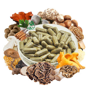 2025, Лидер продаж, натуральный экстракт грибов шитаке, порошок - Product Image 3