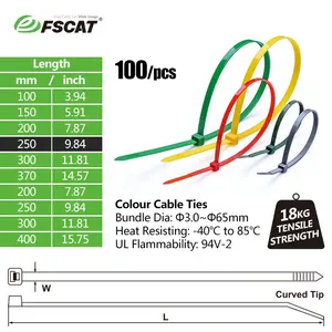 Cable Wrap Fscat Custom High Quality Coluor Selflocking Nylon 66 Cable Ties Plastic Zip Ties Wire Tie Wraps