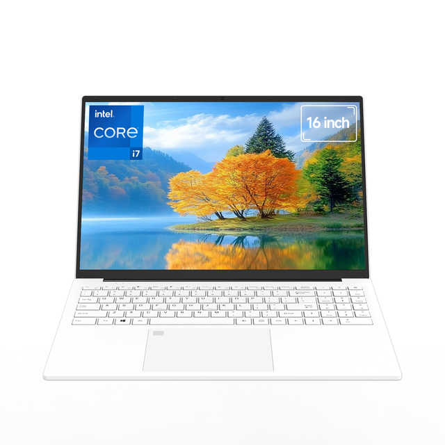 16" Intel I7 Quad Core 1060GN7 1920x1200 FHD IPS 16:10 SSD 2TB Fingerprint Unlock English Windows 11 Business Laptop High