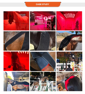Strumento veterinario AQSHE equino cavallo equino ha condotto l'attrezzatura del gancio di terapia della luce rossa per il tappeto degli stivali delle pastiglie posteriori dell'equino del cavallo - Product Image 3