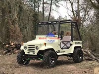 UTV électrique homologué pour la route, personnalisé, 4x4, COC EEC, 5 kW, véhicule utilitaire électrique, buggy quad UTV pour adultes