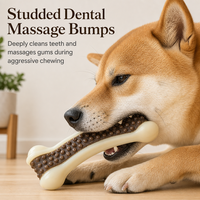 Jouet à mâcher pour chien en forme d'os incurvé, en nylon et cuir de vache, jouet à mâcher pour nettoyer les dents pour chiens de petite, moyenne et grande taille