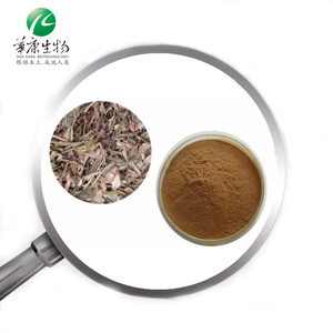 Source Factory Huakang Dahurian Rhododendron Leaf 10: 1 20:1 Polvo concentrado Extracto de azalea - Product Image 1