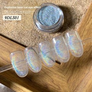 SH 9D Rainbow Holo Cat Eye Magnetic Holographic Nail Gel Polish Acrylic Mirror Iridescence Powder Unicorn Pigment Nail Supplier - Product Image 3