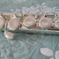 Factory 16 Closed Flute C for Sale OEM Instrument