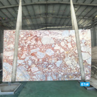 Dalle de marbre blanc et rouge bordeaux de qualité supérieure, à veinage mosaïque breccié, pour mur de douche de salle de bain