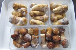 Sinocharm Seta Porcini Frozen Boletus <span class=keywords><strong>Edulis</strong></span> - Product Image 6