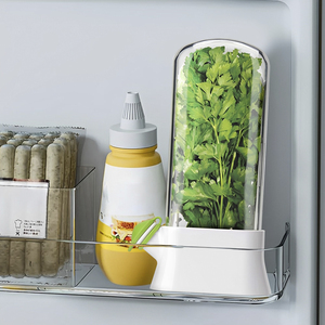 Cross-border Vanilla Vegetable Fresh-keeping Box Dust-proof Anti-pressure Environmental Fresh-keeping Device - Product Image 5