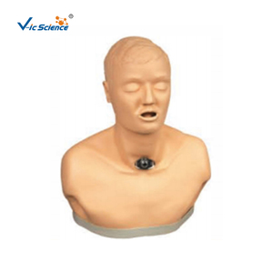 Modèle avancé de soins post-trachéotomie pour adultes : Arbres bronchiens, œsophage et zone de trachéotomie, cricoides - Product Image 1