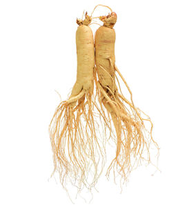 Ekstrak <span class=keywords><strong>Ginseng</strong></span> Murni Cair Berkualitas Tinggi Rasa <span class=keywords><strong>Ginseng</strong></span> Ekstrak Herbal <span class=keywords><strong>Panax</strong></span> Ekstrak <span class=keywords><strong>Ginseng</strong></span> Konsentrat Cair dengan Harga Terbaik - Product Image 2