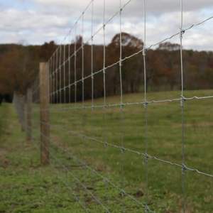 <span class=keywords><strong>Rouleau</strong></span> <span class=keywords><strong>de</strong></span> clôture en fil soudé 15GA 2x4 pouces 6 x 50 pieds pour poulaillers, enclos pour chiens, protection des plantes <span class=keywords><strong>de</strong></span> jardin, barrières pour bétail - Product Image 4