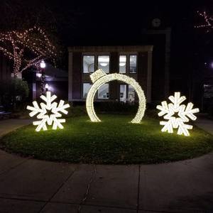 Flocons <span class=keywords><strong>de</strong></span> neige pour l'extérieur, l'intérieur, le jardin, la rue, éclairage paysager grand, moyen et petit, lumières décoratives personnalisées 2D3D, flocons <span class=keywords><strong>de</strong></span> neige - Product Image 1